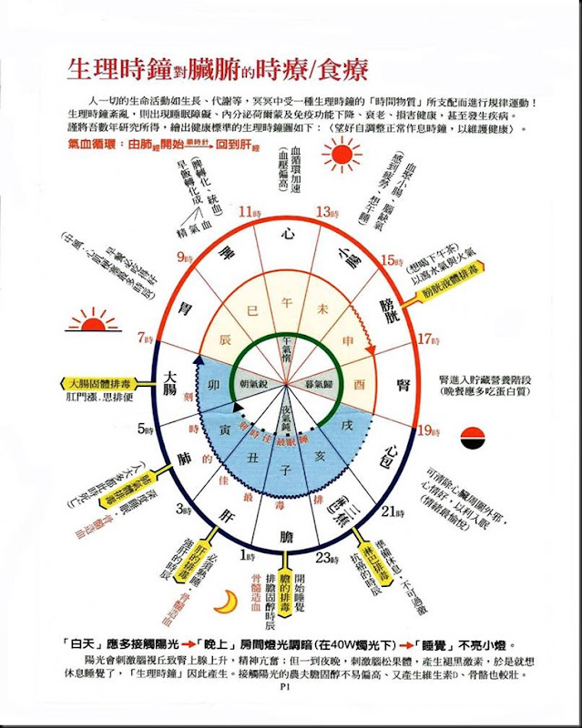 DoReMi 与你分享: 生理時鐘對臟腑的時療/食療